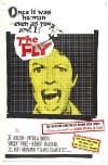 the fly.jpg